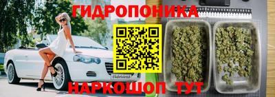 сатива Берёзовский