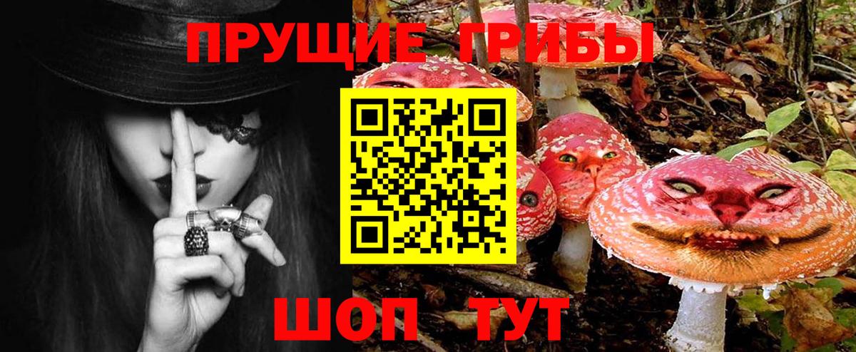 Галлюциногенные грибы ЛСД Димитровград