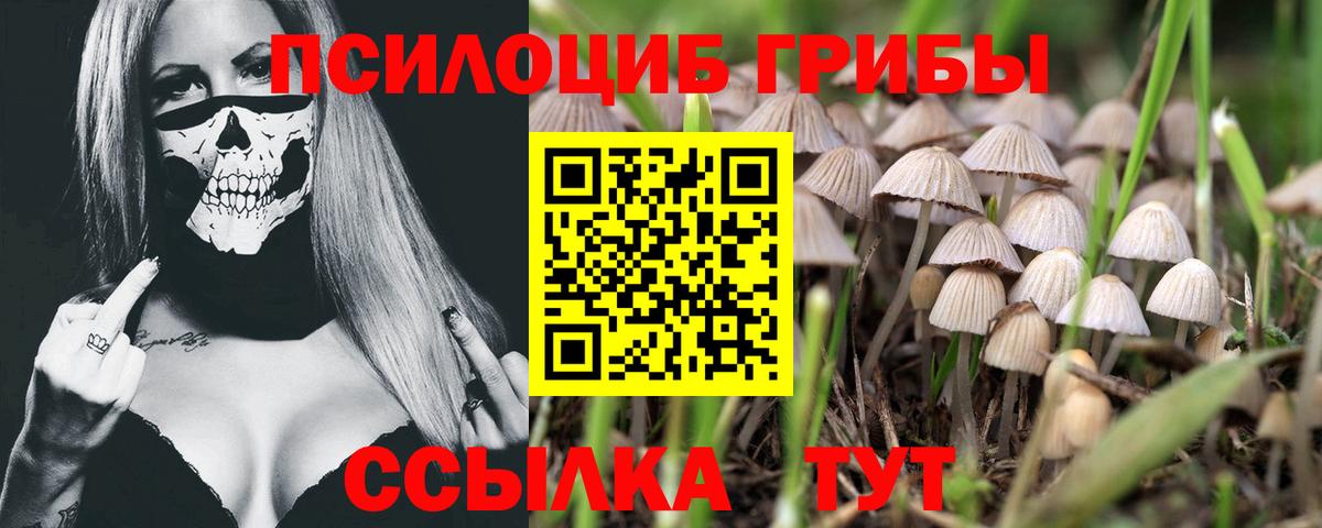 Псилоцибиновые грибы ЛСД  Вход с VPN  Димитровград 
